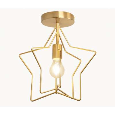 Fashionable ceiling lamp goods star ceiling lamp globe ceiling lamp